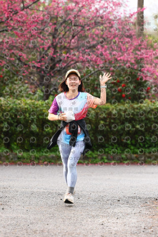 2026左岸竹東櫻花馬拉松Zhudong Sakura Marathon