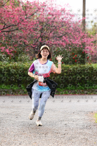 2026左岸竹東櫻花馬拉松Zhudong Sakura Marathon