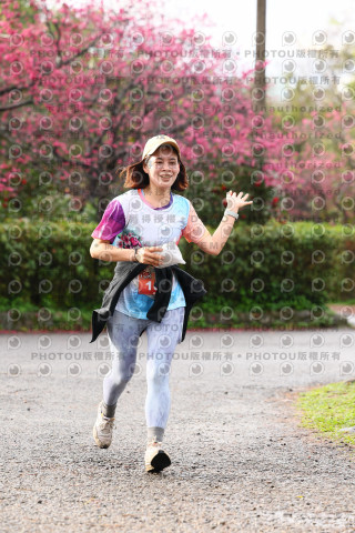 2026左岸竹東櫻花馬拉松Zhudong Sakura Marathon