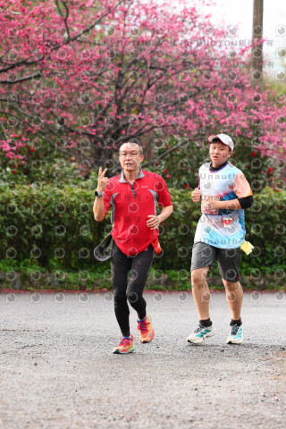 2026左岸竹東櫻花馬拉松Zhudong Sakura Marathon