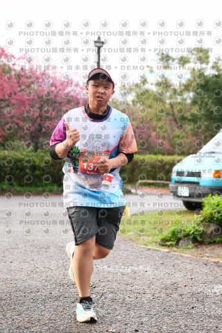 2026左岸竹東櫻花馬拉松Zhudong Sakura Marathon