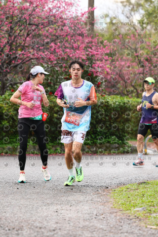 2026左岸竹東櫻花馬拉松Zhudong Sakura Marathon