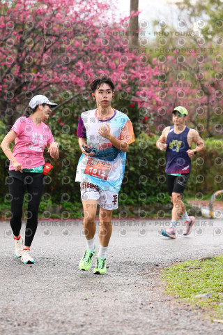 2026左岸竹東櫻花馬拉松Zhudong Sakura Marathon