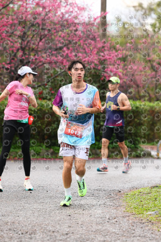 2026左岸竹東櫻花馬拉松Zhudong Sakura Marathon