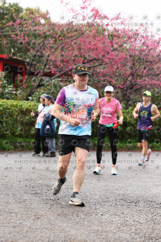 2026左岸竹東櫻花馬拉松Zhudong Sakura Marathon