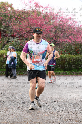 2026左岸竹東櫻花馬拉松Zhudong Sakura Marathon