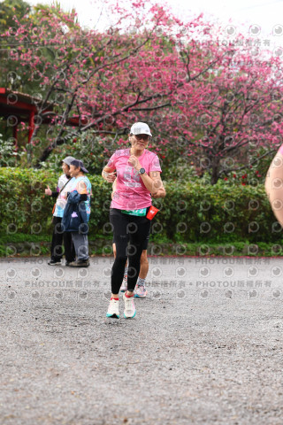 2026左岸竹東櫻花馬拉松Zhudong Sakura Marathon