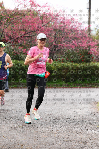 2026左岸竹東櫻花馬拉松Zhudong Sakura Marathon