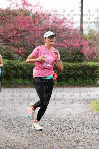 2026左岸竹東櫻花馬拉松Zhudong Sakura Marathon