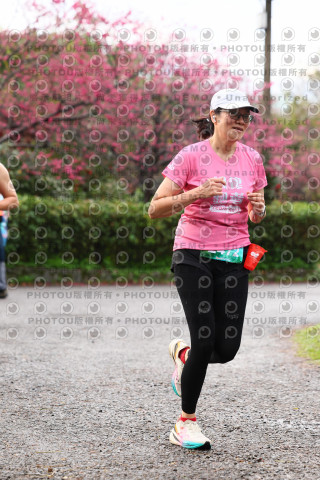 2026左岸竹東櫻花馬拉松Zhudong Sakura Marathon