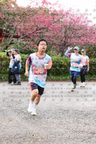 2026左岸竹東櫻花馬拉松Zhudong Sakura Marathon