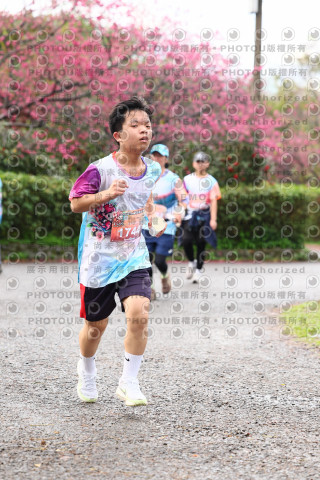 2026左岸竹東櫻花馬拉松Zhudong Sakura Marathon