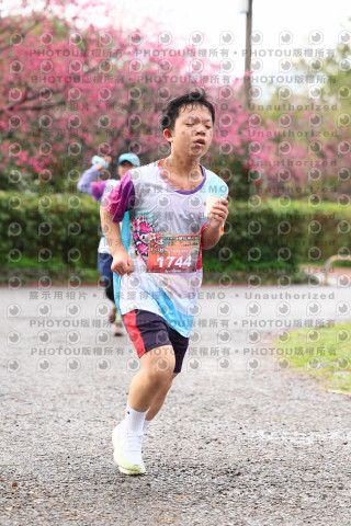 2026左岸竹東櫻花馬拉松Zhudong Sakura Marathon