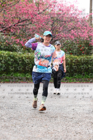 2026左岸竹東櫻花馬拉松Zhudong Sakura Marathon