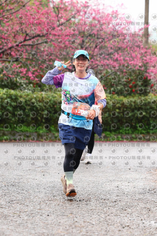 2026左岸竹東櫻花馬拉松Zhudong Sakura Marathon