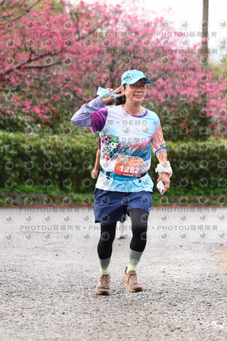 2026左岸竹東櫻花馬拉松Zhudong Sakura Marathon