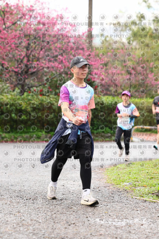 2026左岸竹東櫻花馬拉松Zhudong Sakura Marathon