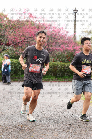 2026左岸竹東櫻花馬拉松Zhudong Sakura Marathon