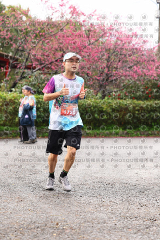 2026左岸竹東櫻花馬拉松Zhudong Sakura Marathon
