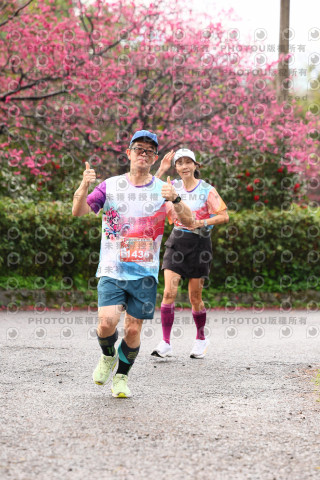 2026左岸竹東櫻花馬拉松Zhudong Sakura Marathon