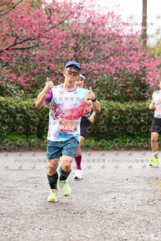 2026左岸竹東櫻花馬拉松Zhudong Sakura Marathon