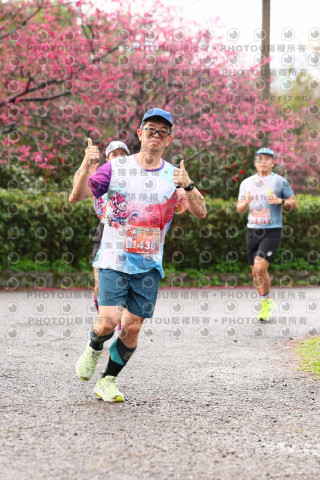 2026左岸竹東櫻花馬拉松Zhudong Sakura Marathon