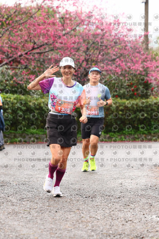 2026左岸竹東櫻花馬拉松Zhudong Sakura Marathon