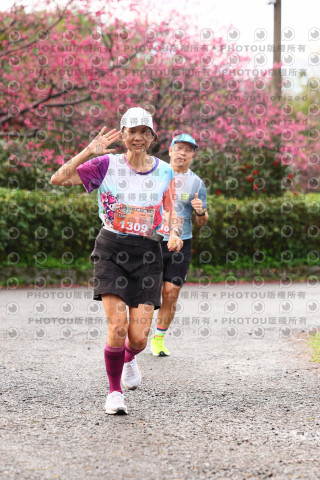 2026左岸竹東櫻花馬拉松Zhudong Sakura Marathon