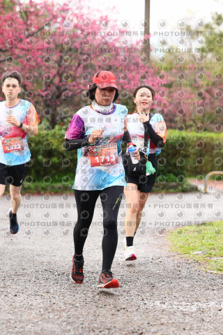 2026左岸竹東櫻花馬拉松Zhudong Sakura Marathon