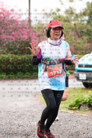 2026左岸竹東櫻花馬拉松Zhudong Sakura Marathon