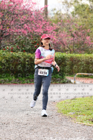 2026左岸竹東櫻花馬拉松Zhudong Sakura Marathon