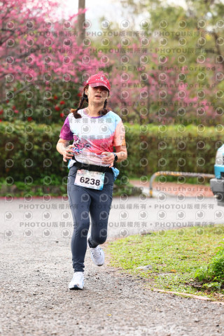 2026左岸竹東櫻花馬拉松Zhudong Sakura Marathon