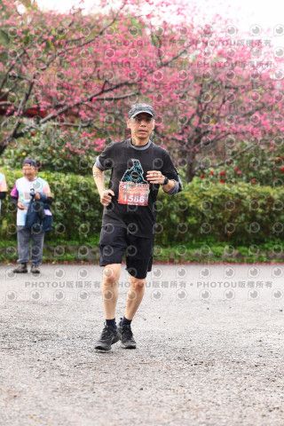 2026左岸竹東櫻花馬拉松Zhudong Sakura Marathon