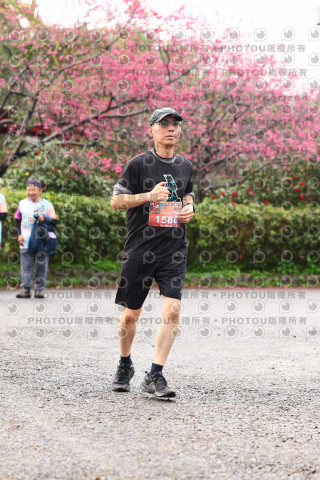 2026左岸竹東櫻花馬拉松Zhudong Sakura Marathon