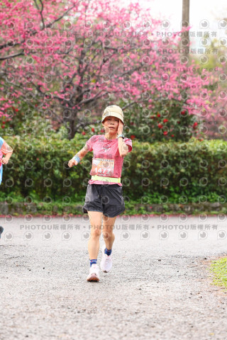 2026左岸竹東櫻花馬拉松Zhudong Sakura Marathon