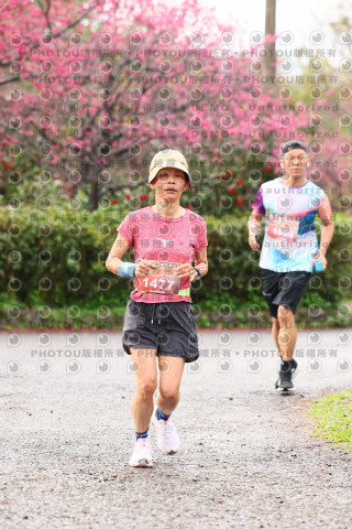 2026左岸竹東櫻花馬拉松Zhudong Sakura Marathon