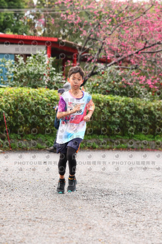2026左岸竹東櫻花馬拉松Zhudong Sakura Marathon