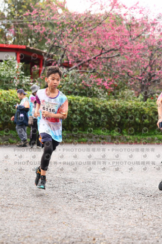 2026左岸竹東櫻花馬拉松Zhudong Sakura Marathon