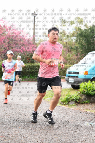 2026左岸竹東櫻花馬拉松Zhudong Sakura Marathon