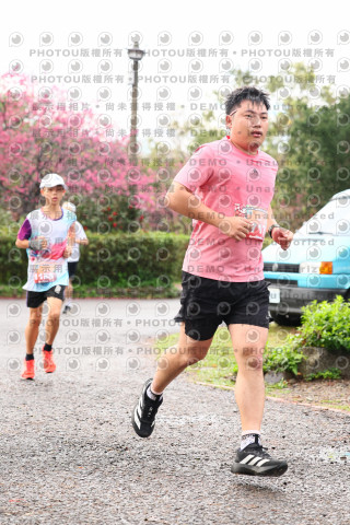 2026左岸竹東櫻花馬拉松Zhudong Sakura Marathon