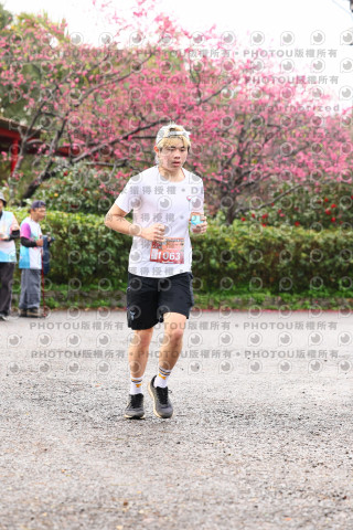 2026左岸竹東櫻花馬拉松Zhudong Sakura Marathon
