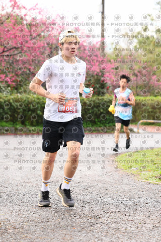 2026左岸竹東櫻花馬拉松Zhudong Sakura Marathon