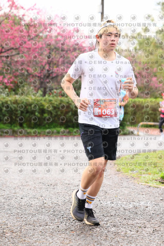2026左岸竹東櫻花馬拉松Zhudong Sakura Marathon
