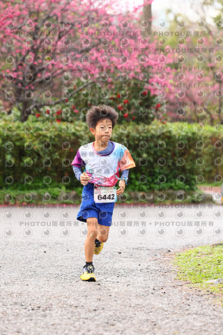 2026左岸竹東櫻花馬拉松Zhudong Sakura Marathon