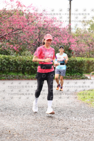 2026左岸竹東櫻花馬拉松Zhudong Sakura Marathon