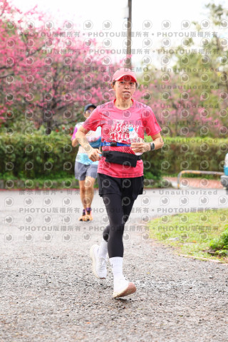 2026左岸竹東櫻花馬拉松Zhudong Sakura Marathon