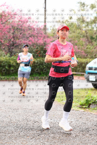 2026左岸竹東櫻花馬拉松Zhudong Sakura Marathon