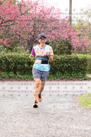 2026左岸竹東櫻花馬拉松Zhudong Sakura Marathon
