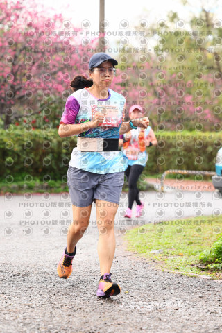 2026左岸竹東櫻花馬拉松Zhudong Sakura Marathon