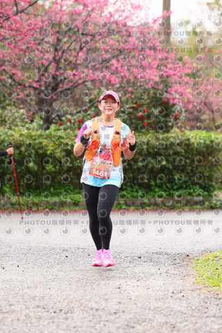 2026左岸竹東櫻花馬拉松Zhudong Sakura Marathon